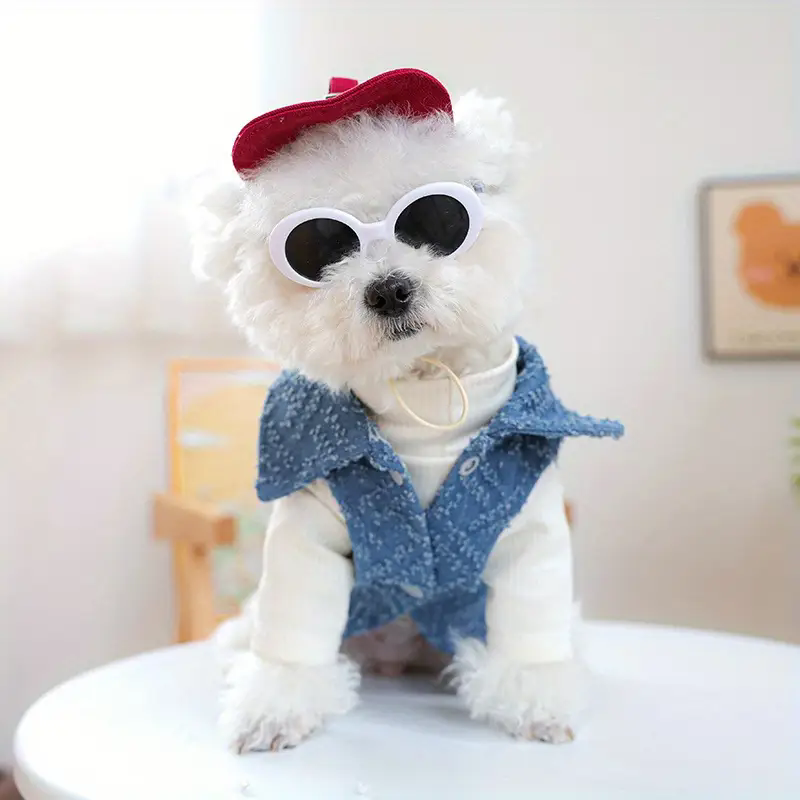 Dog Fashion Baseball Cap with  - Street Fashion Shoot 评论和价格